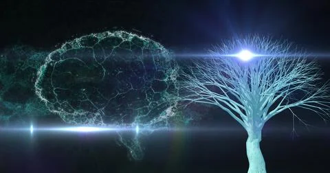 Image of brain rotating over black background with lights and tree Stock Illustration
