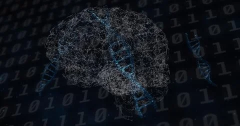 Image of brain rotating over dns on black background Stock Photos