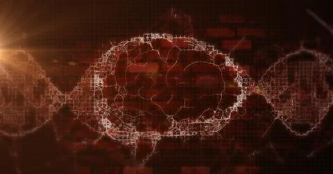 Image of brain rotating over waves on brown background Stock Illustration