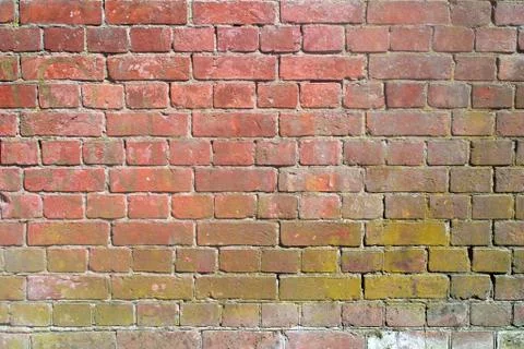 The image of a brick wall as a background. 14 Stock Photos