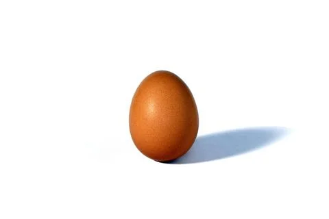 Image of a brown chicken egg on a white background. Stock-Fotos