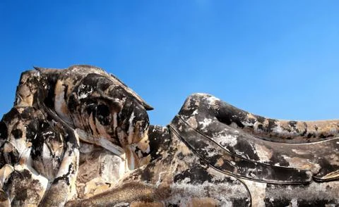 Image of Buddha Stock Photos