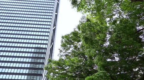 Image of business area Stock Footage 66655321