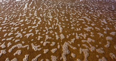 The image captures a sandy surface with irregular white foam patterns Stock Photos