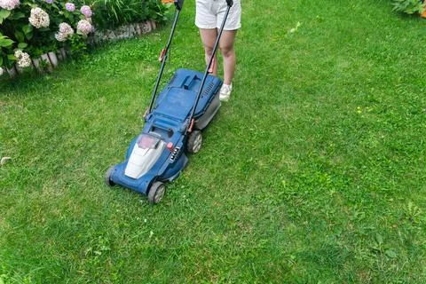 This image captures someone mowing their lawn with a push lawn mower. The per Stock Photos