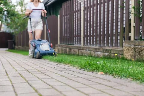 This image captures someone mowing their lawn with a push lawn mower. The per Stock Photos