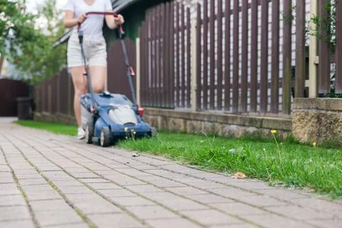 This image captures someone mowing their lawn with a push lawn mower. The per Stock Photos