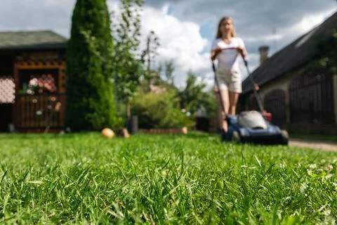 This image captures someone mowing their lawn with a push lawn mower. The per Stock Photos