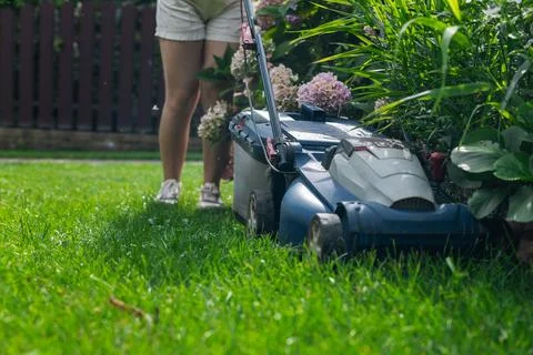 This image captures someone mowing their lawn with a push lawn mower. The p.. Stock Photos