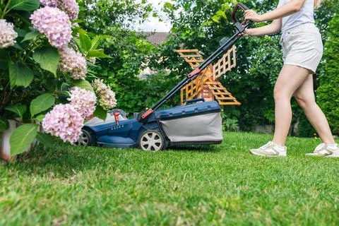 This image captures someone mowing their lawn with a push lawn mower. The p.. Stock Photos