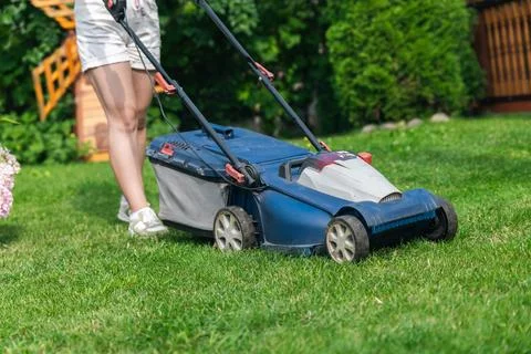 This image captures someone mowing their lawn with a push lawn mower. The per Stock Photos