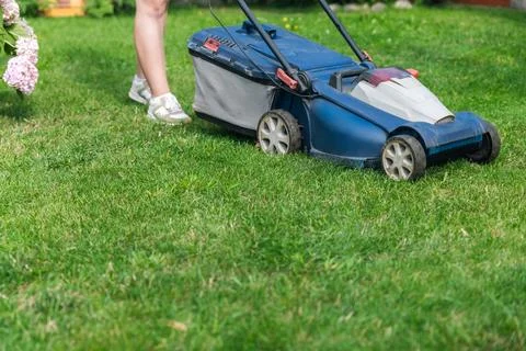 This image captures someone mowing their lawn with a push lawn mower. The per Stock Photos