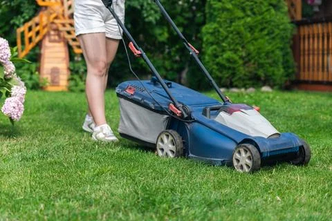 This image captures someone mowing their lawn with a push lawn mower. The per Stock Photos