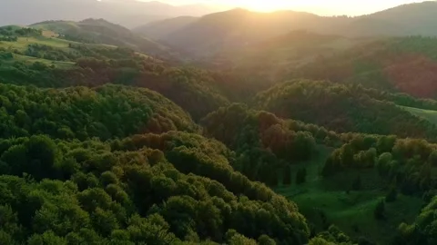 The image captures a stunning aerial view of a sunlit green Stock Footage 330075184
