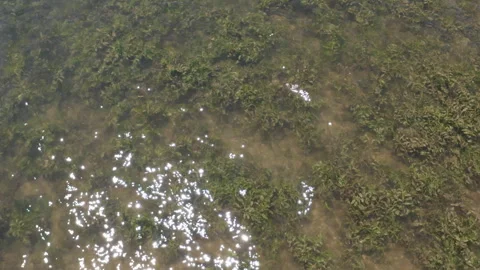 The image captures sunlight reflecting off clear water Stock Footage 315224563