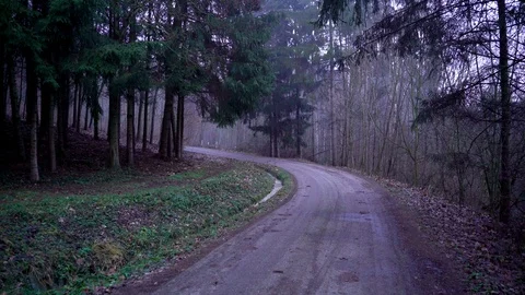 Image of car passing on calm and foggy road, Heuchlingen, Germany. Stock Footage 102648034