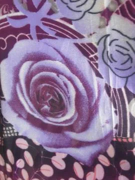 An image on carpet Stock Photos