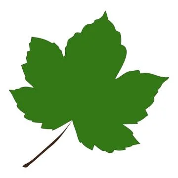 Image of cartoon maple leaf . Vector illustration isolated on white backgroun イラスト素材