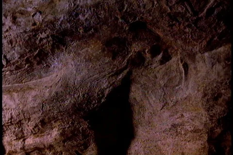 Image carved into cave wall by early humans. Stock Footage 86752827