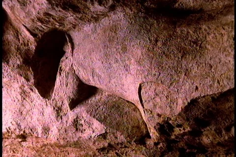 Image carved into cave wall by early humans. Stock Footage 86752835