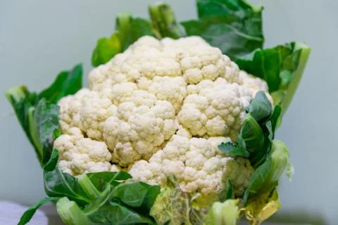 Image of a cauliflower for preparing salad for human consumption Stock Photos