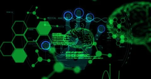 Image of chemical formulas and data processing over brains on black background Stock Illustration