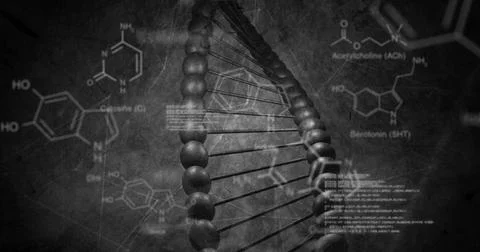 Image of chemical structures and data processing over dna strand spinning Foto stock