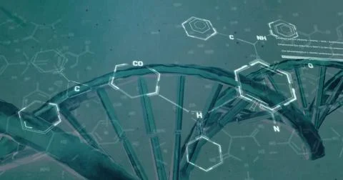 Image of chemical structures and data processing over dna strand spinning Stock Photos