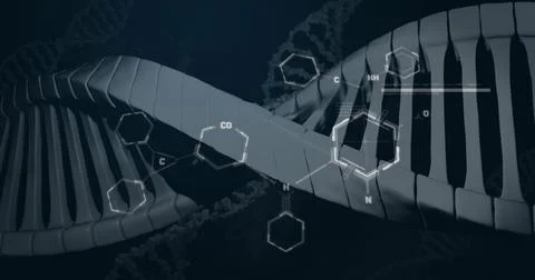 Image of chemical structures over dna strand spinning on black background Stock Illustration