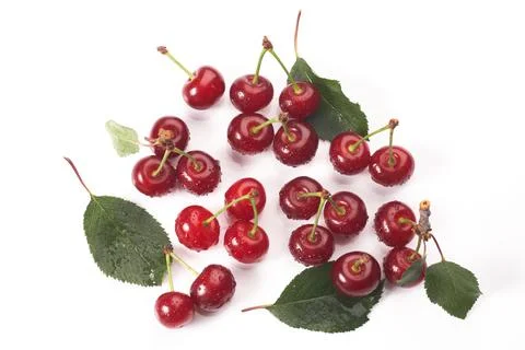 Image cherries on a white background. Cherries with drops isolated on white b Stock Photos