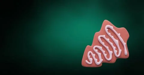 Image of christmas tree gingerbread cookie with copy space on green background Stock Photos