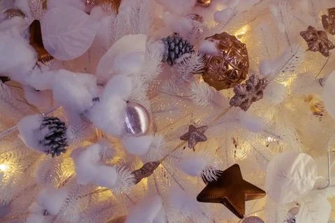 The image of the Christmas tree. Stock Photos