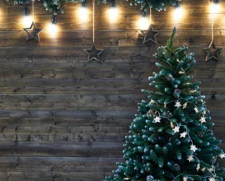 The image of the Christmas tree. Stock Photos