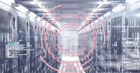 Image of circles, computer language over binary codes on data server racks in Stock Photos