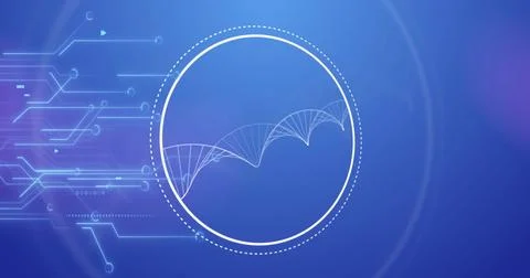 Image of circuit board, digital data processing over dna strand Stock Photos