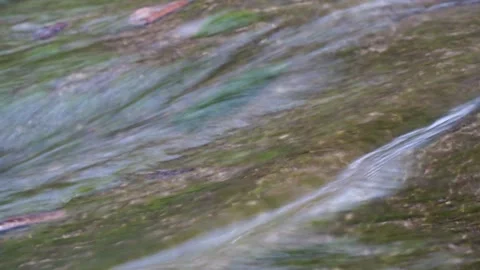 Image of clean mountain river. Stock Footage 134587381