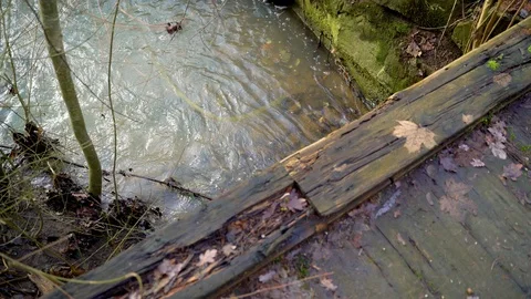 Image of clear water flowing on a small stream, Heuchlingen, Germany. 스톡 동영상 102645980
