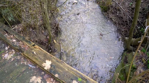 Image of clear water flowing on a small stream, Heuchlingen, Germany. Video stock 102646693