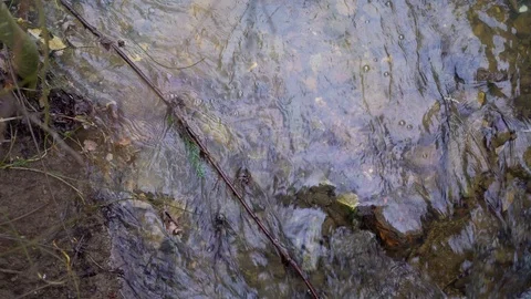 Image of clear water flowing on a small stream, Heuchlingen, Germany. 스톡 동영상 102646779