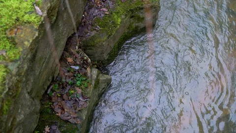 Image of clear water flowing on a small stream, Heuchlingen, Germany. Video stock 102646823