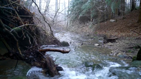 Image of clear water flowing on a small stream, Heuchlingen, Germany. Stock Footage 102647823