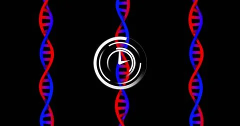 Image of clock moving over dna strands on black background 스톡 사진