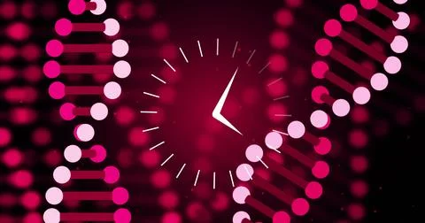 Image of clock moving over dna strand 写真素材