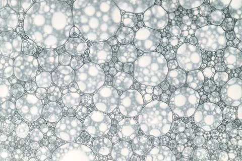The image is a close up of a pattern of bubbles Stock Photos