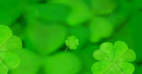 Image of clover leaves falling spinning on green background Illustrazione stock