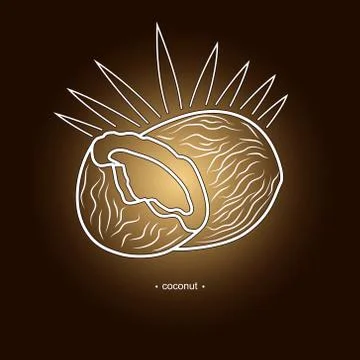 Image Coconut in the Contours Illustrazione stock