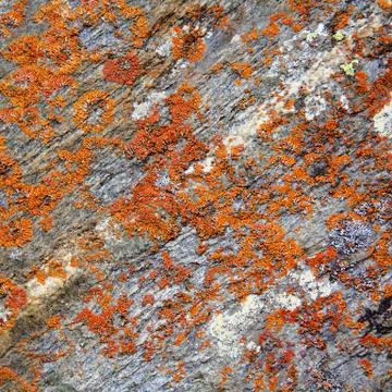 Image of colorful texture Stock Photos