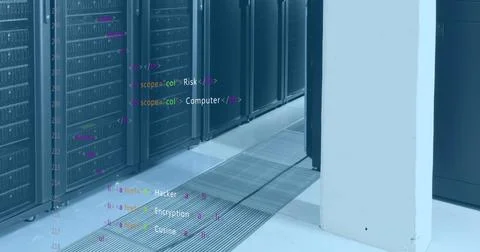 Image of computer language over data server racks 스톡 사진