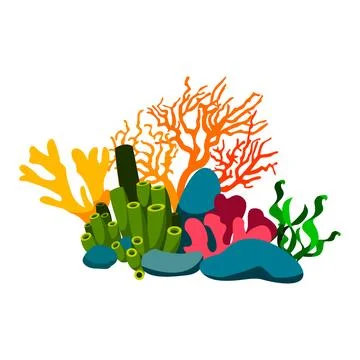Image of corals and algae. vector isolated on white background. Stock Illustration