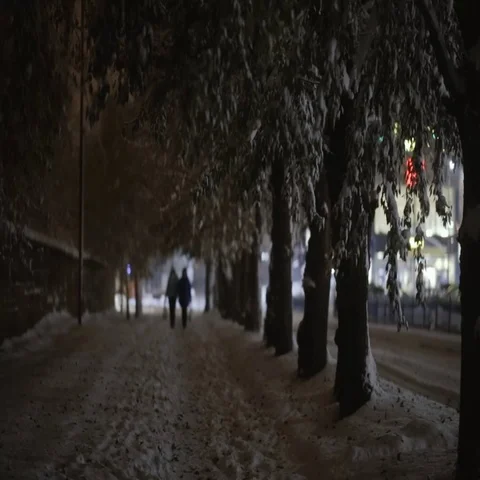 An image of the couple walking in winter Stock Footage 69328224